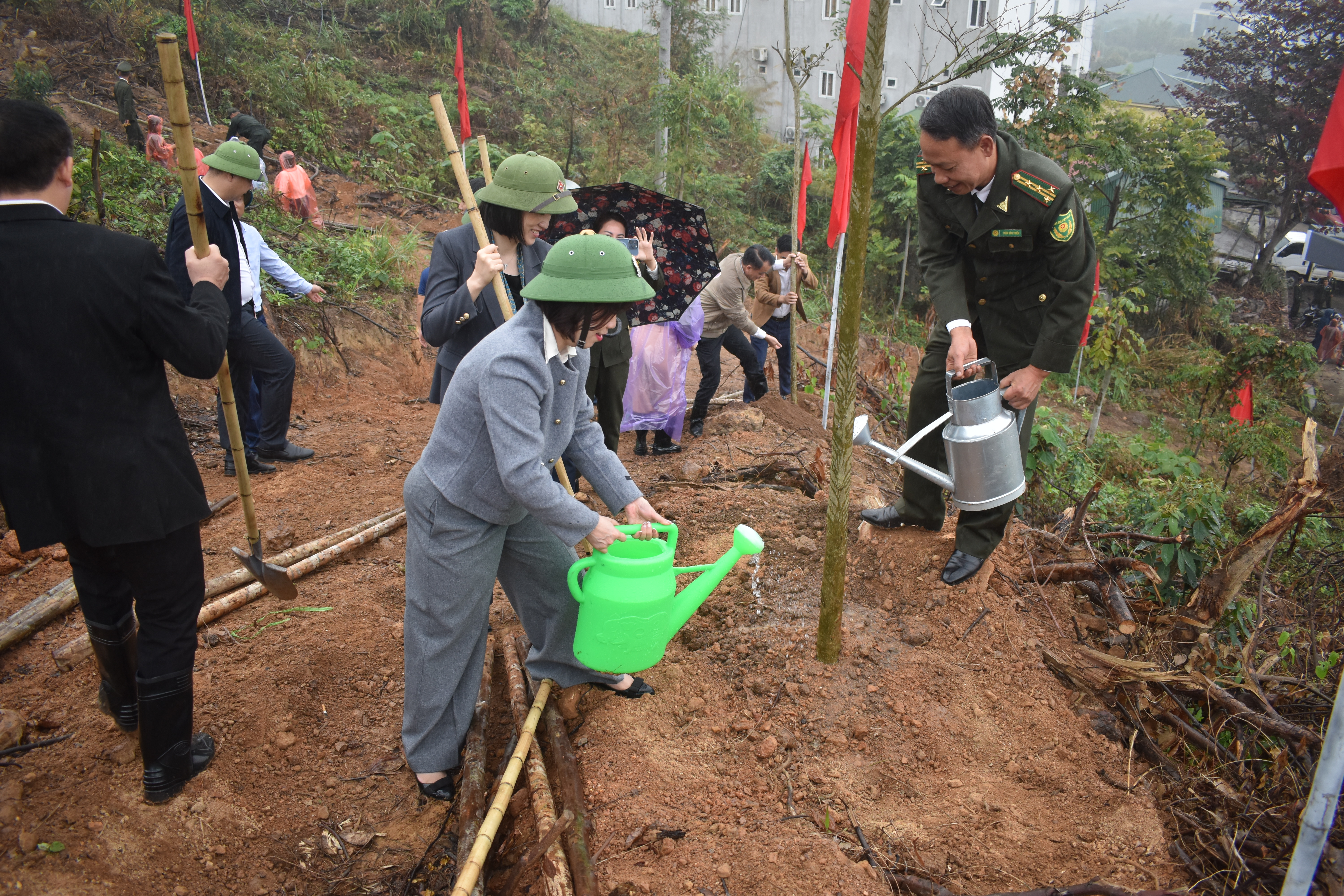 Chương trình phát động “Tết trồng cây đời đời nhớ ơn Bác Hồ” Xuân Bính Ngọ năm 2026
