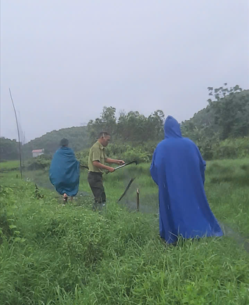 Phối hợp ngăn chăn hành vi săn, bẫy, bắt các loài chim  hoang dã di cư trái pháp luật 