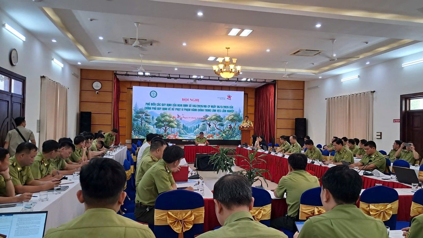  HỘI NGHỊ PHỔ BIẾN NGHỊ ĐỊNH SỐ 146/2026/NĐ-CP VỀ XỬ PHẠT VI PHẠM HÀNH CHÍNH TRONG LĨNH VỰC LÂM NGHIỆP