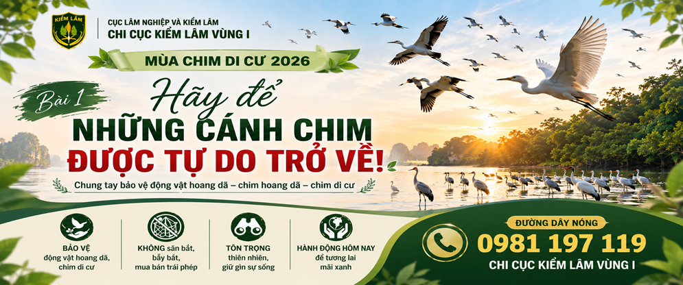 Bài 1: Hãy để những cánh chim được tự do trở về