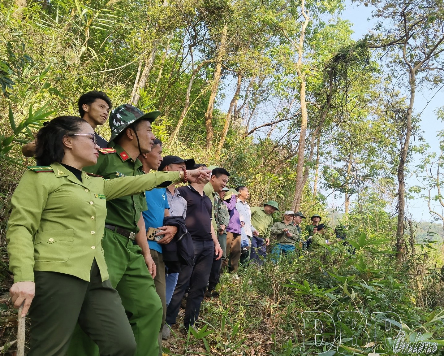  Giữ rừng từ cơ sở