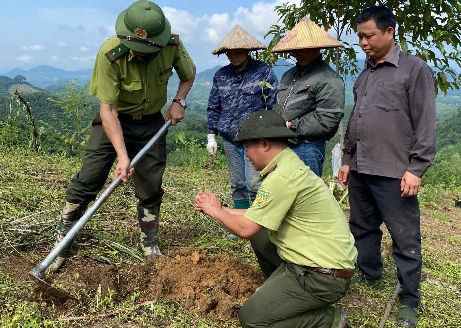  Tuyên Quang: Quản lý, bảo vệ rừng để phát triển bền vững