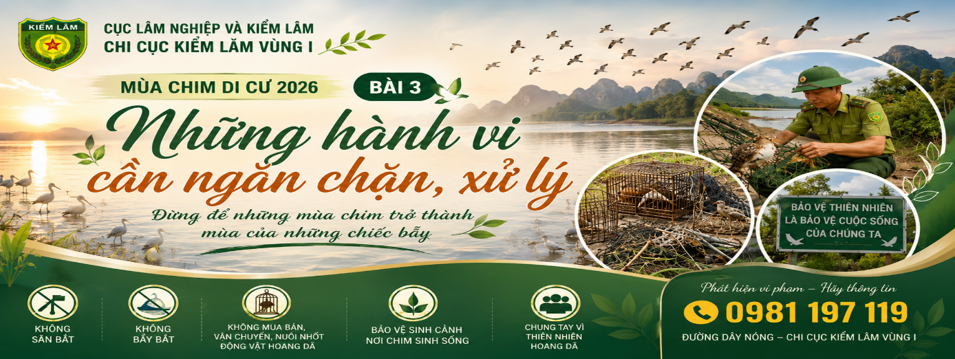  Bài 3. ĐÙNG BIẾN NƠI CHIM TÌM ĐẾN THÀNH “BÃI BẪY” NHỮNG HÀNH VI CẦN NGĂN CHẶN VÀ XỬ LÝ
