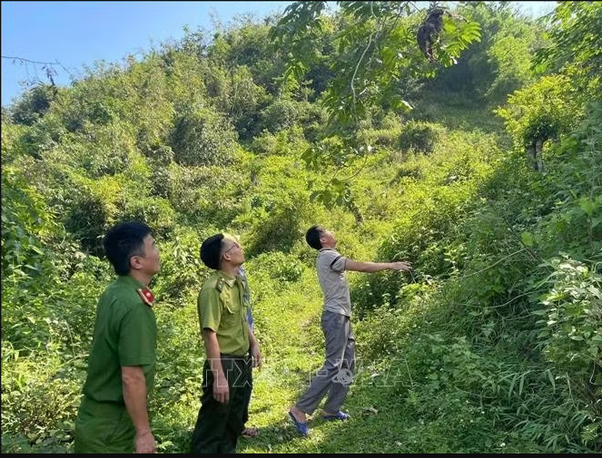  Giữ sinh cảnh, bảo vệ các loài động vật nguy cấp