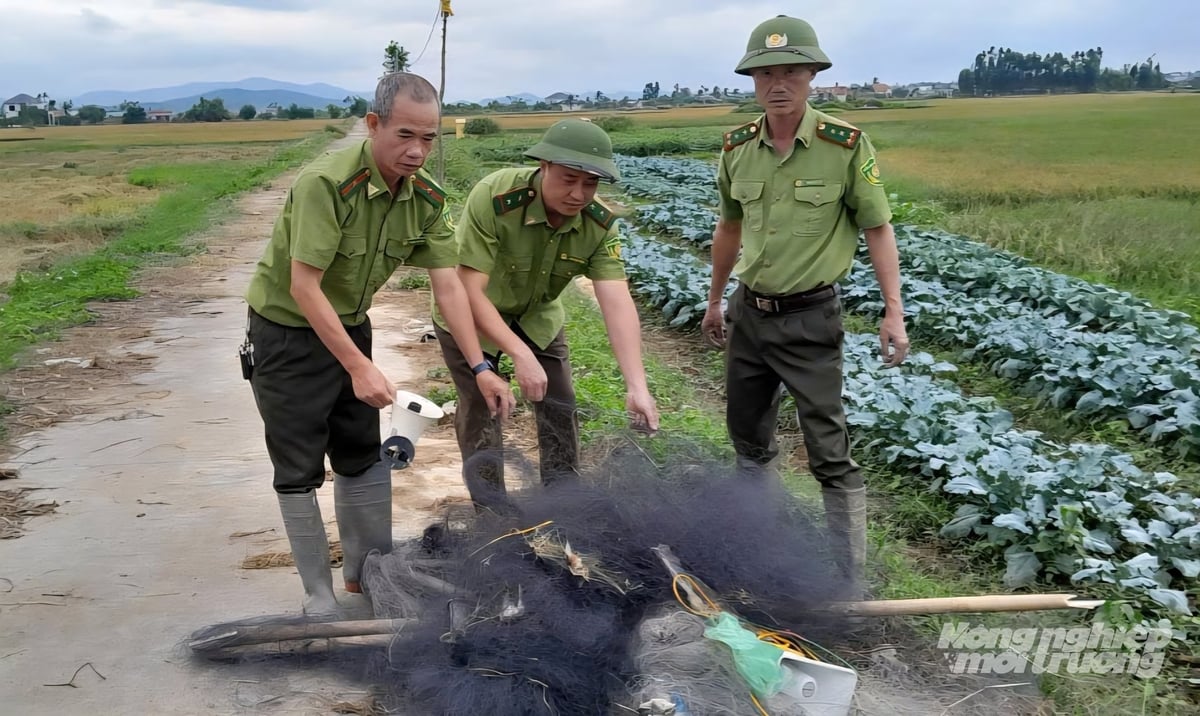 Tuyên chiến' với nạn tận diệt chim trời