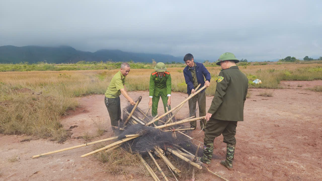Tiếp tục ra quân kiểm tra, ngăn chặn nạn săn bắt chim hoang dã di cư trái pháp luật